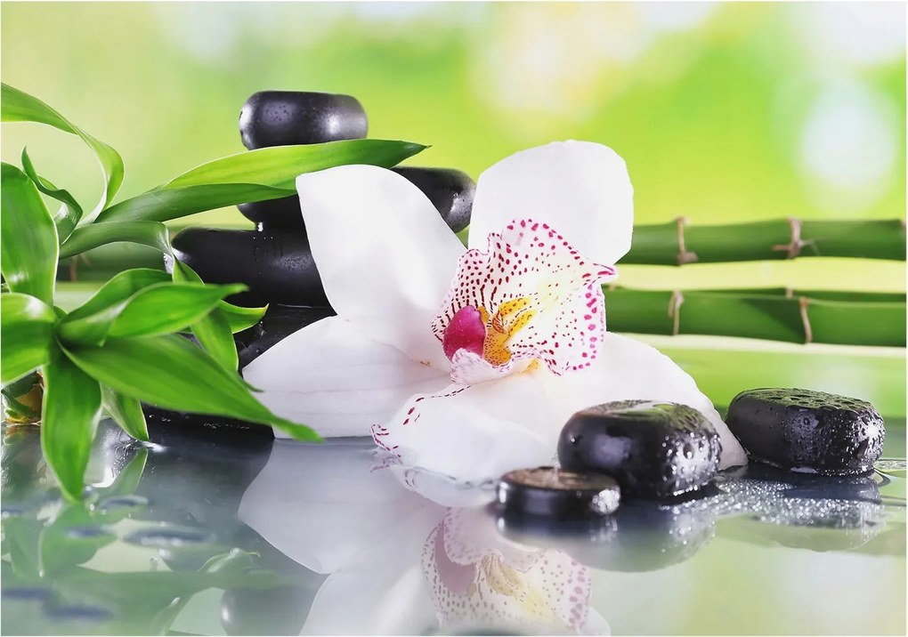 Fotótapéta Flizelin Dekoratív Hálószoba A természet nyugalma 208x146 Ragasztó