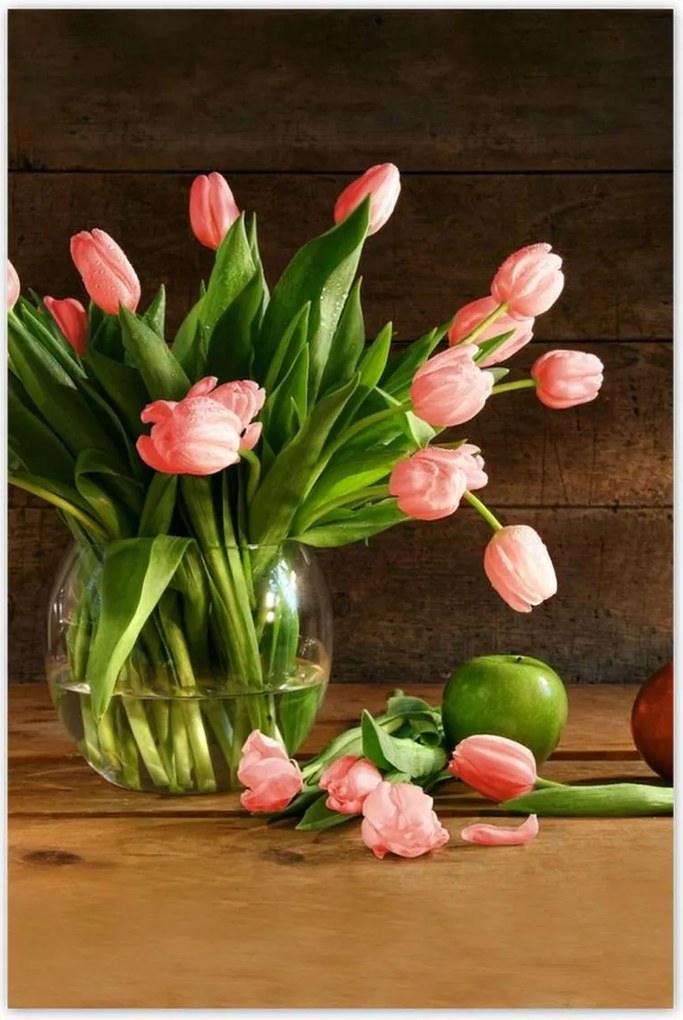 Poszterek 80x120 Piros tulipánok