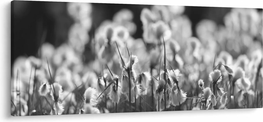 Kép - Nyári rét (120x50 cm)