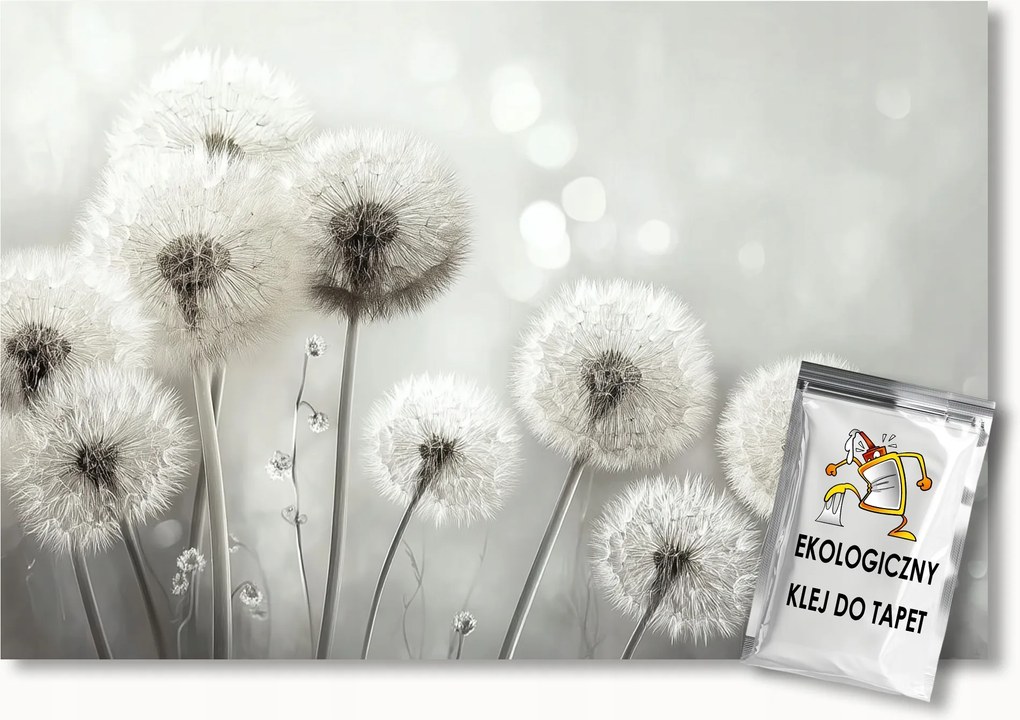 Fotótapéta Flizelina Természet Makró Virág Pitypang Tej B&amp;w 150x105 ragasztó