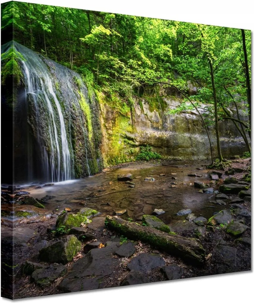 Vászonkép 60x60 Trópusi erdő vízesés