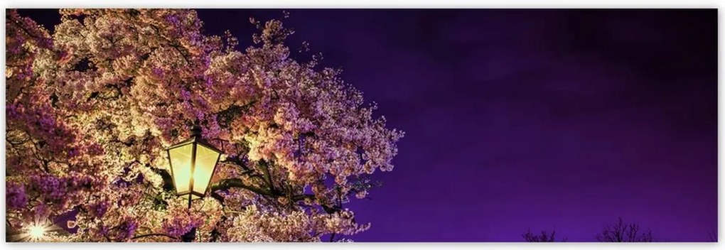 Poszterek 200x66 Éjszakai motívum a nappaliba