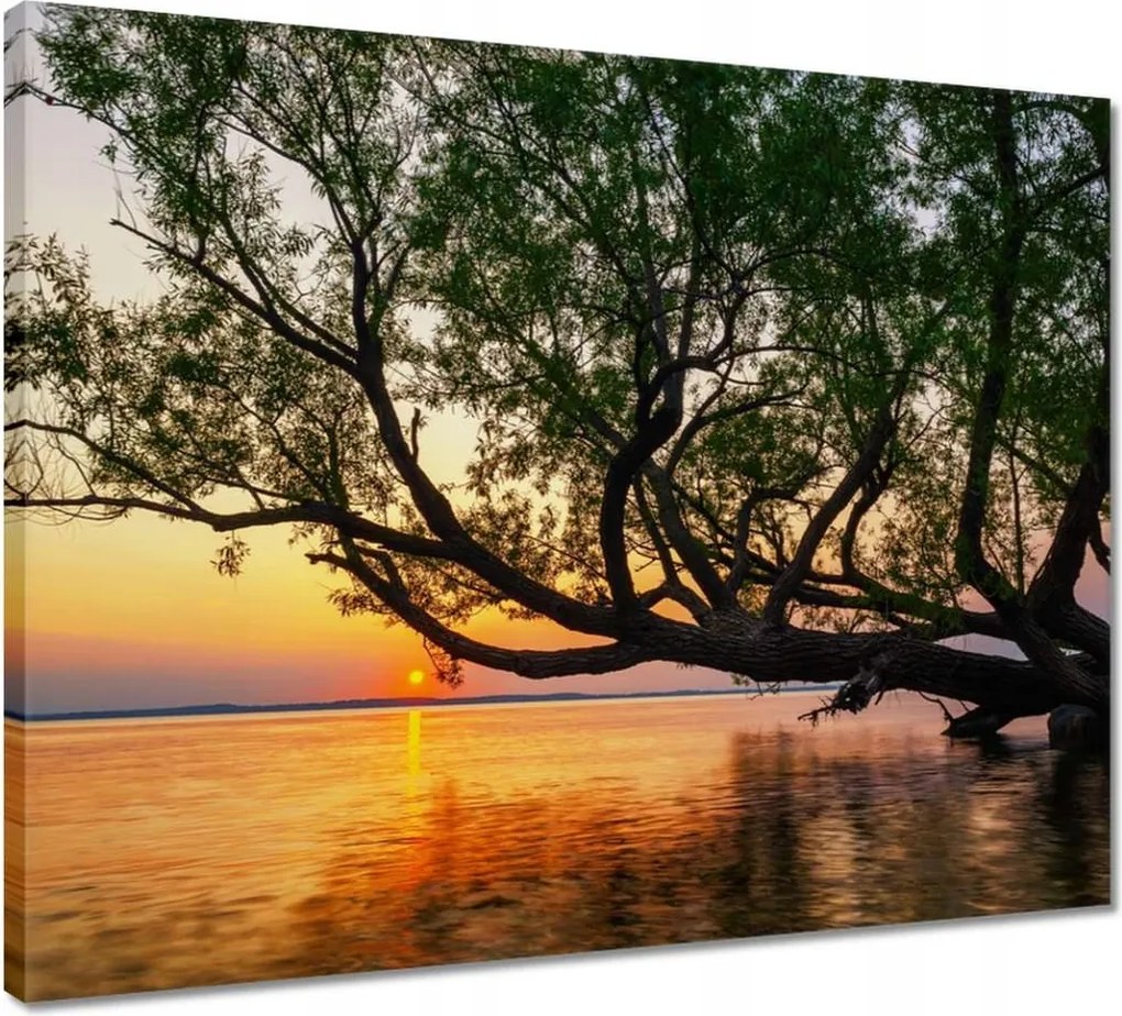 Vászonkép 50x40 Fa Levelek Tó