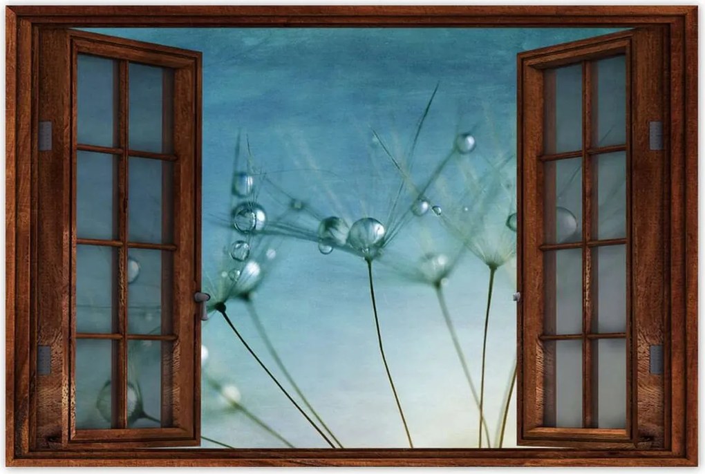 Poszterek 120x80 Pitypang Virág Virágok