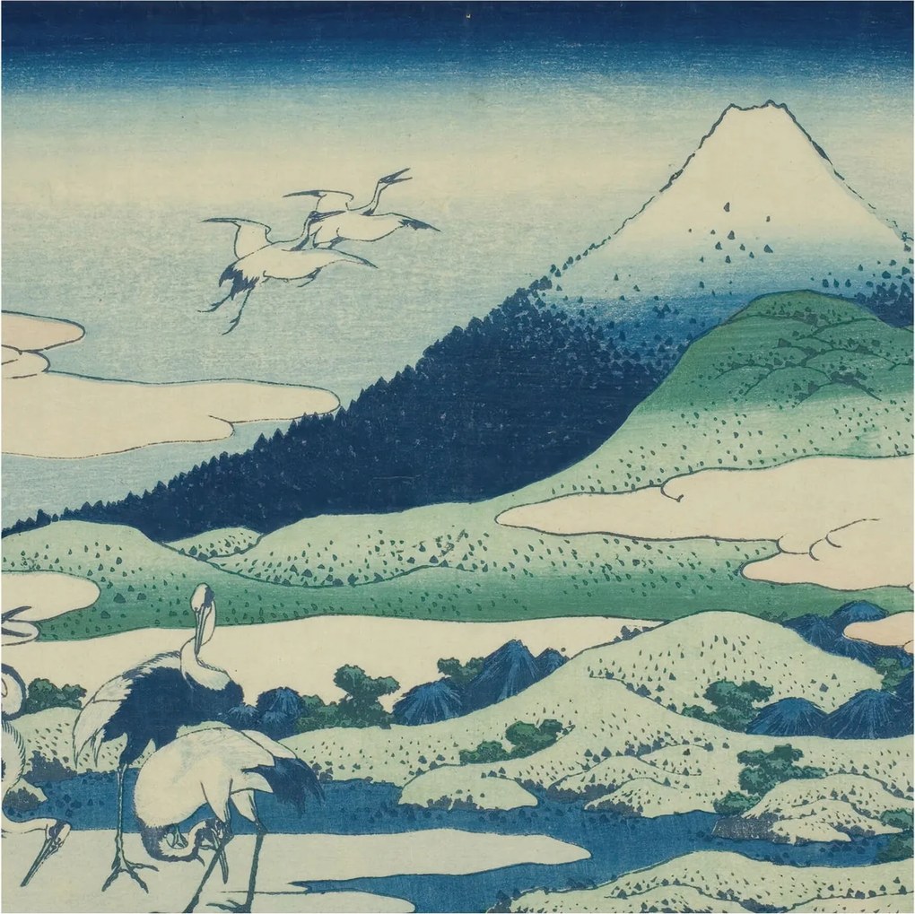 Flizelin tapéta Divatos 3D fali ragasztó Daruk és hegyek 250x250 Ragasztó