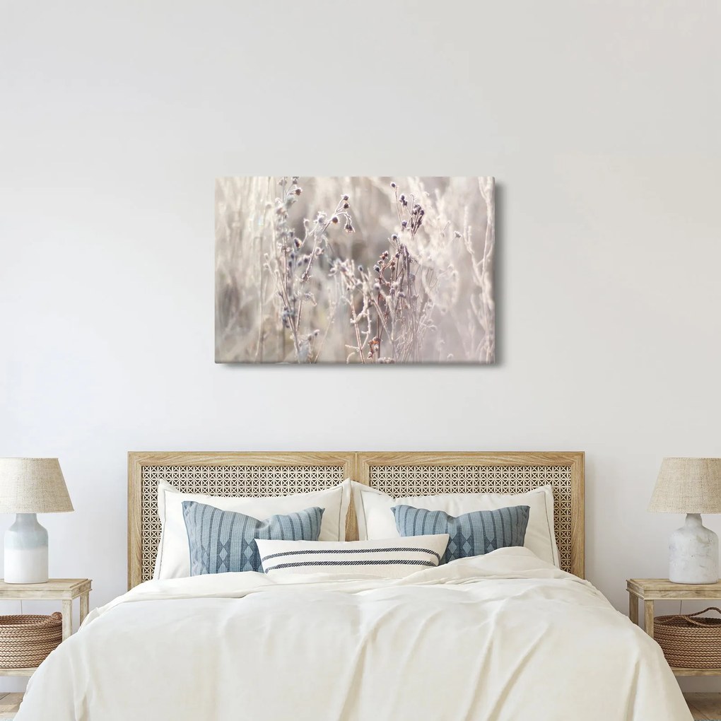 Kép - Növény (90x60 cm)