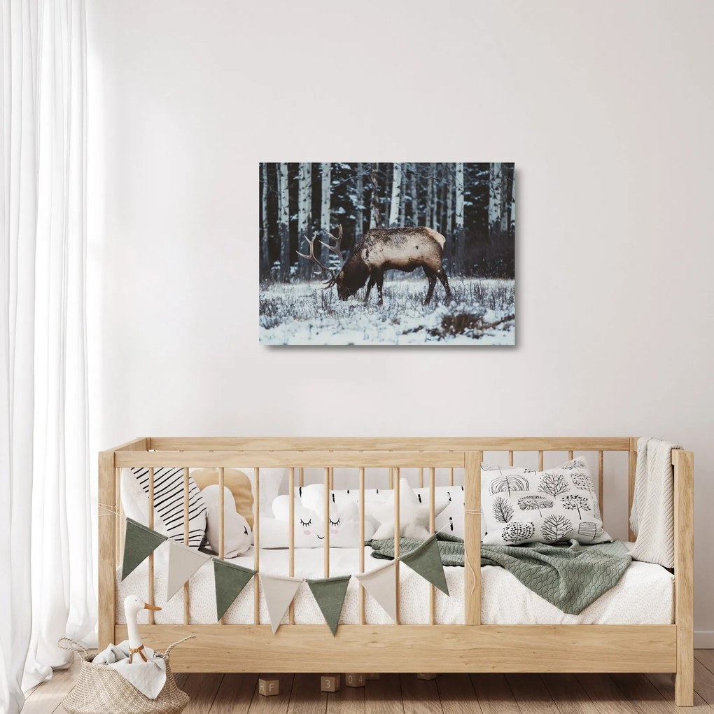 Kép - szarvas télen (üvegen) (70x50 cm)