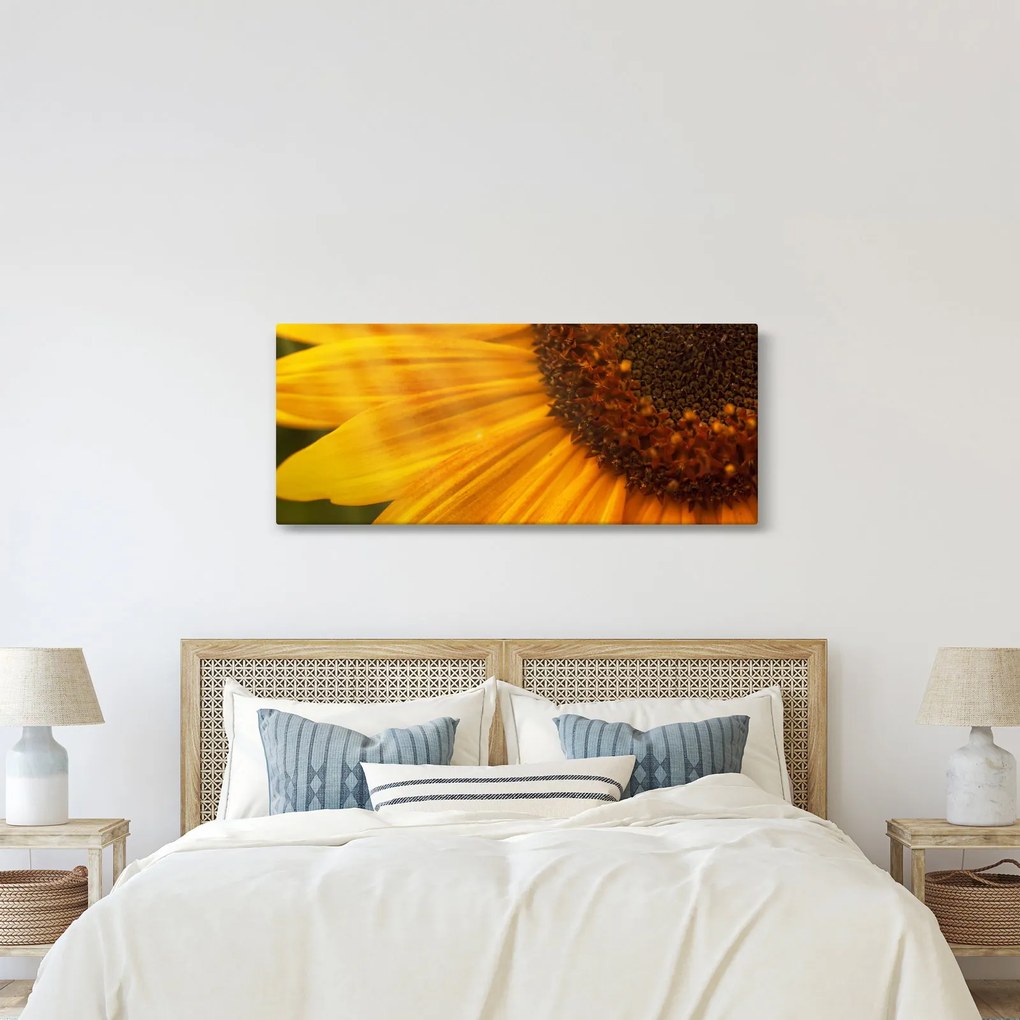 Kép - Napraforgók (120x50 cm)
