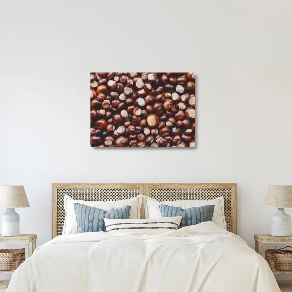 Üveg kép - Érett gesztenye (70x50 cm)