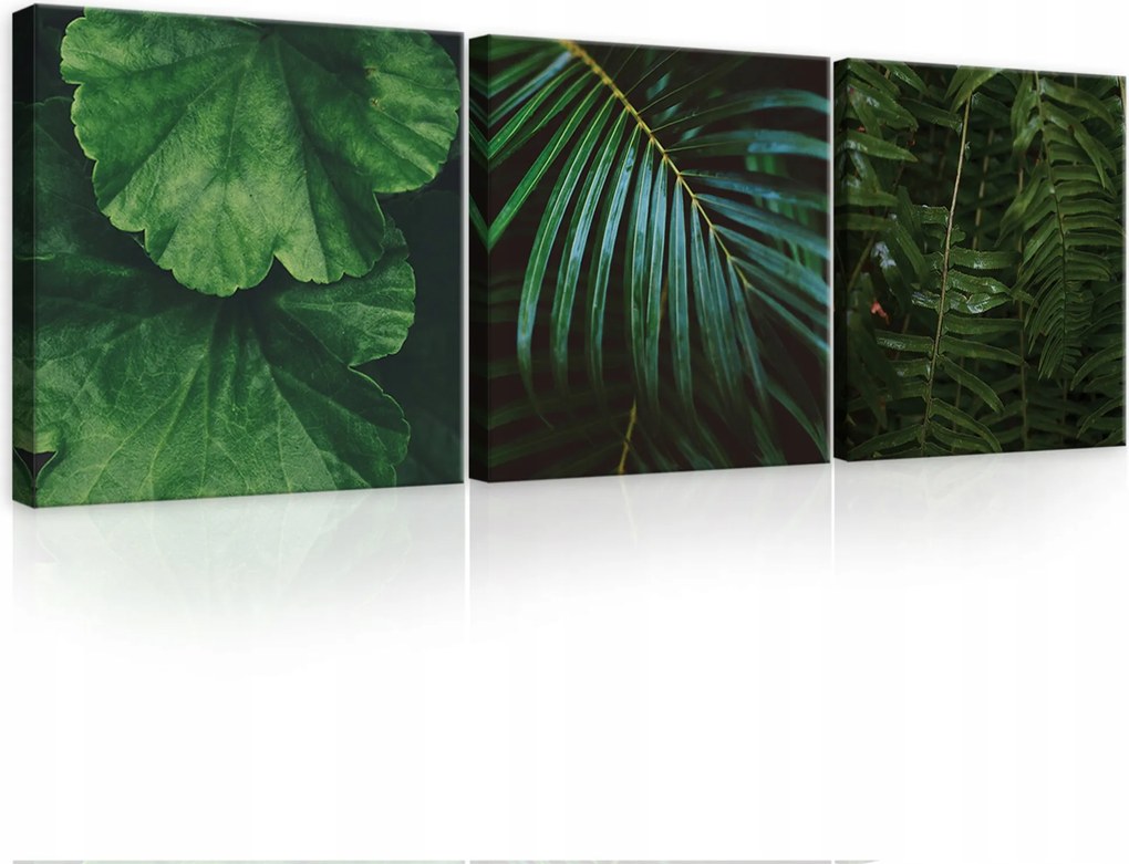 Kép a nappaliba triptichon Monster Levelek sorozat 3db-os