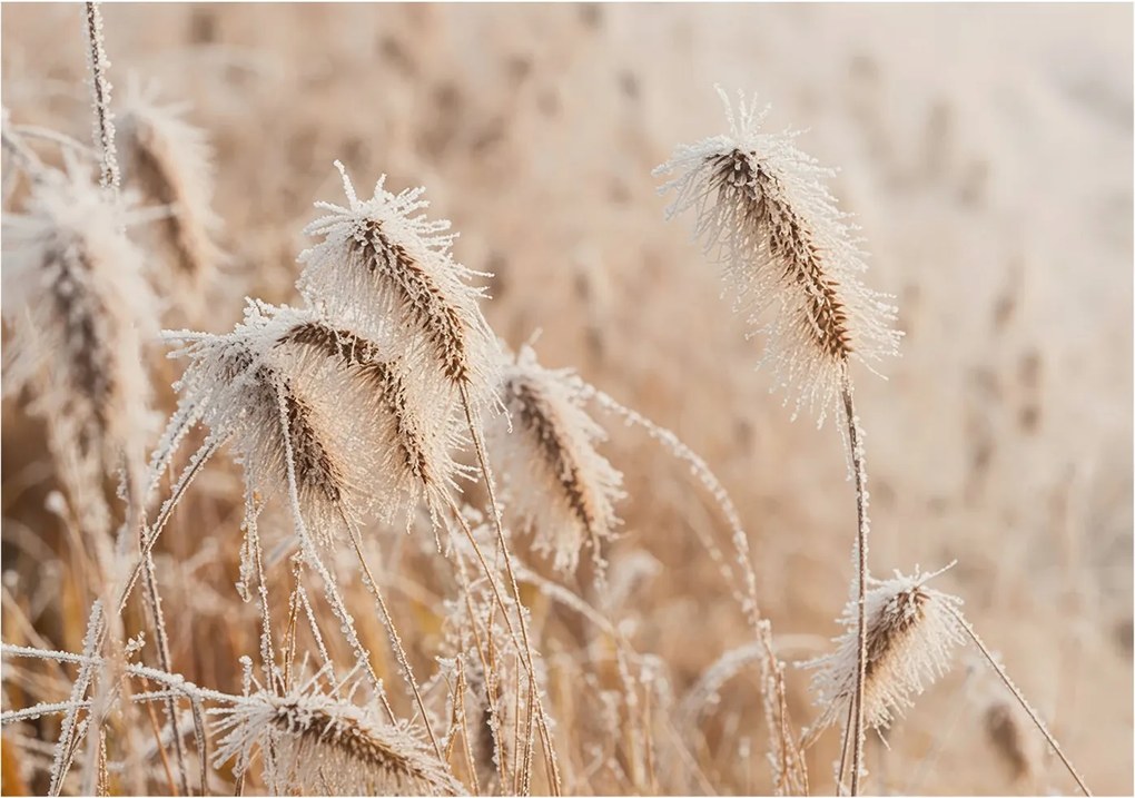 Fotótapéta Flizelin Dekoratív Hálószoba Téli tájkép 208x146 Ragasztó