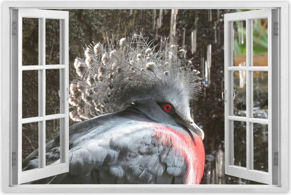 Poszterek 120x80 Színes madár