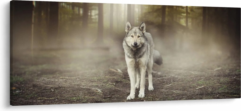 Kép - erdő őr (120x50 cm)