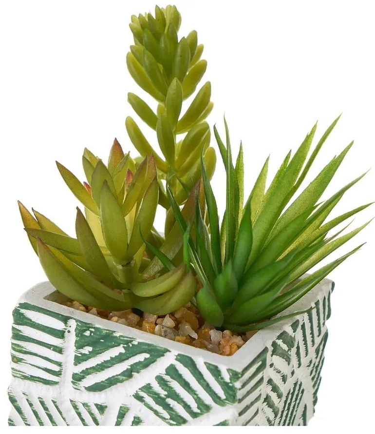 Műnövény szett 3 db-os (magasság 12 cm) Cactus – Casa Selección