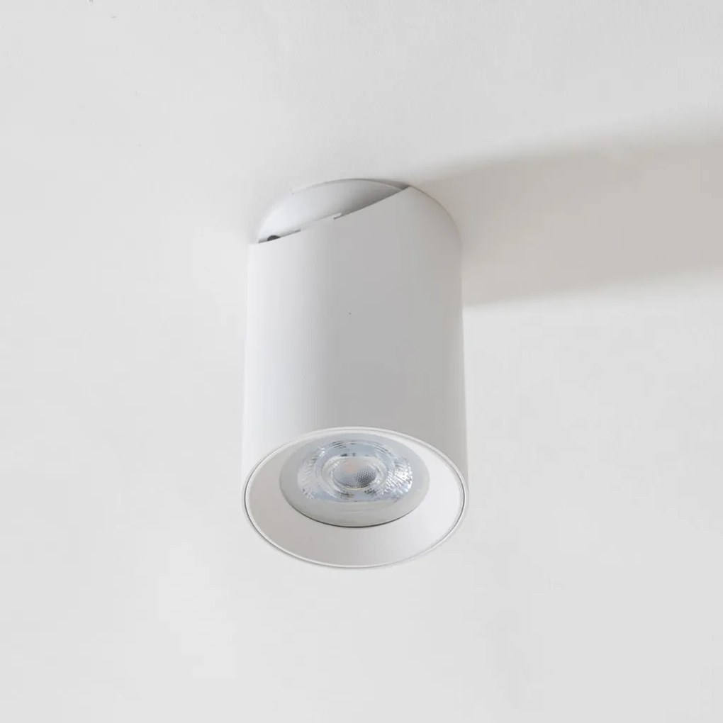 Zuma Line TORE TLS006-WH mennyezeti lámpa 1x35W/GU10 IP20