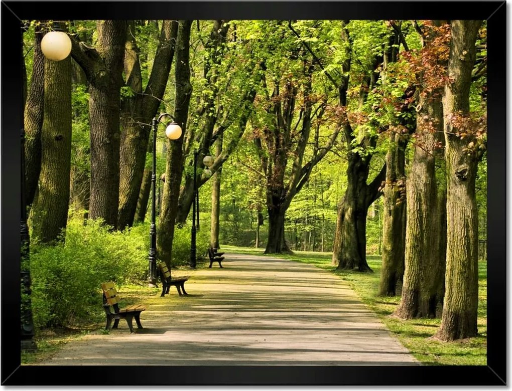 Poszterek keretben 40x30 Citadella park