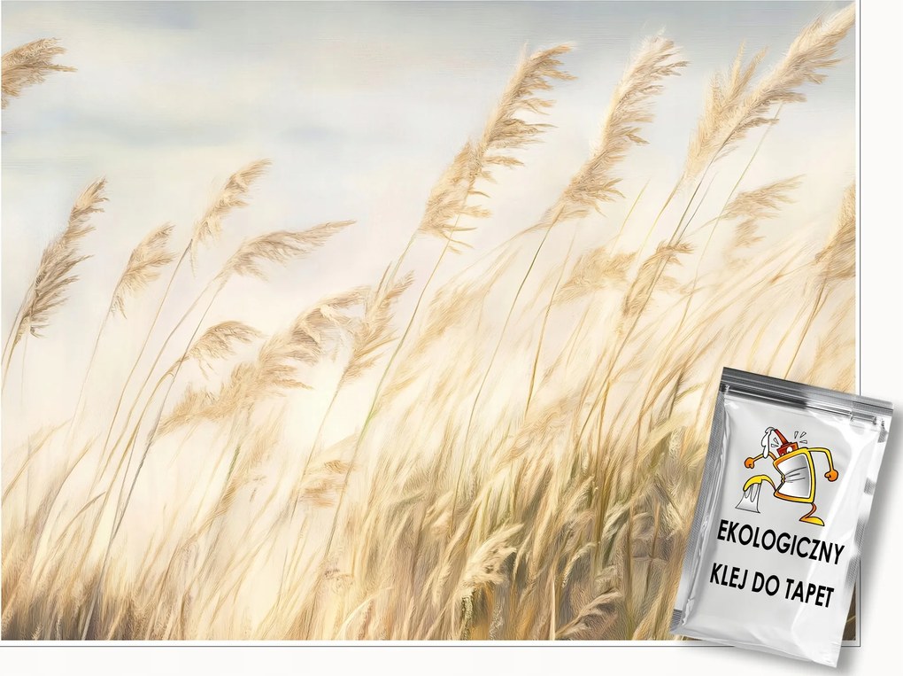 Fotótapéta Pampas Fű Természet Hálószoba Nappali Tapéta Flizelina 400x280