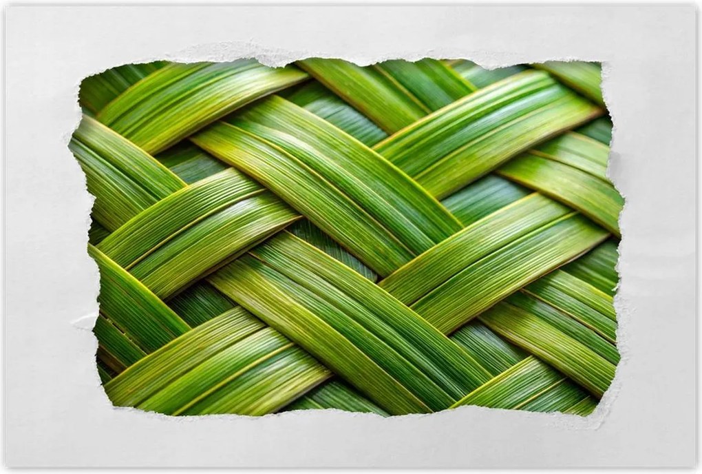 Poszterek 60x40 Zöld fonott Zöld rattan fonott lemez