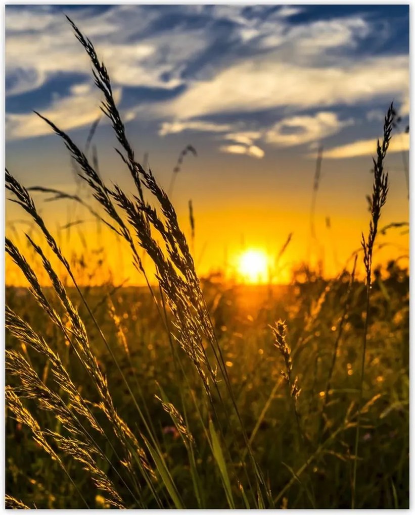 Poszterek 40x50 Naplemente a füvek között