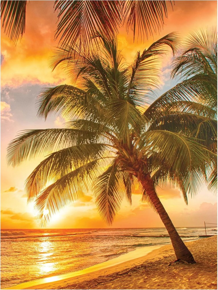 Fotótapéta naplemente tengerpart pálmafák 206 x 275