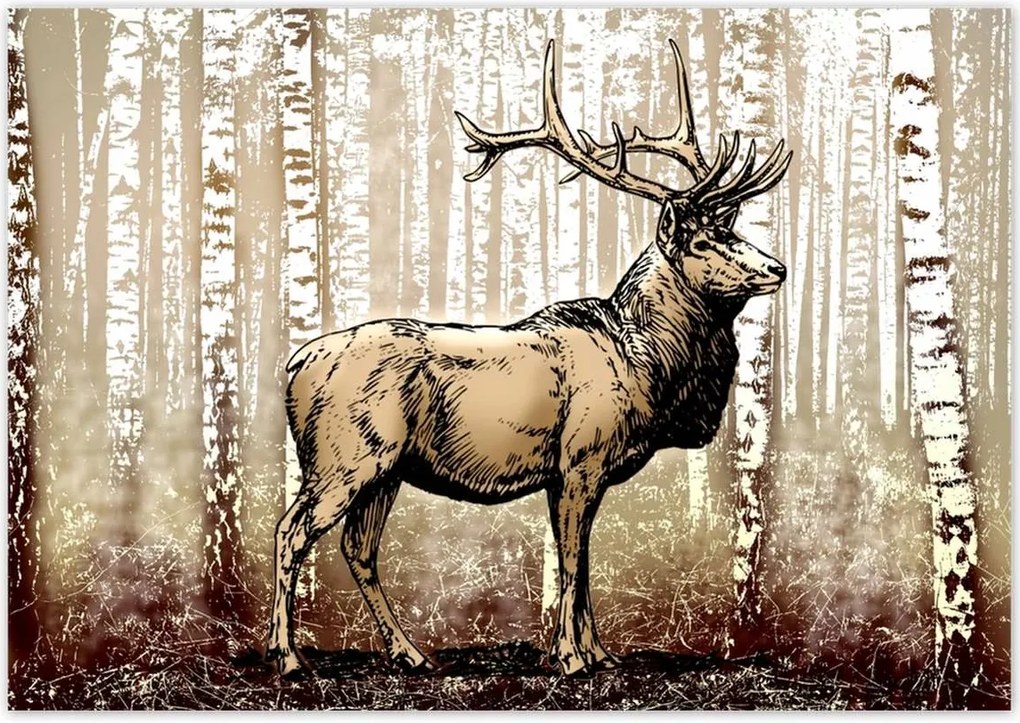 Poszterek 100x70 Szarvas a nyírfaerdőben