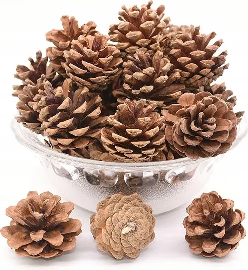 Toboz Természetes Dekoráció Karácsonyfa Dekoráció Nád Kpl