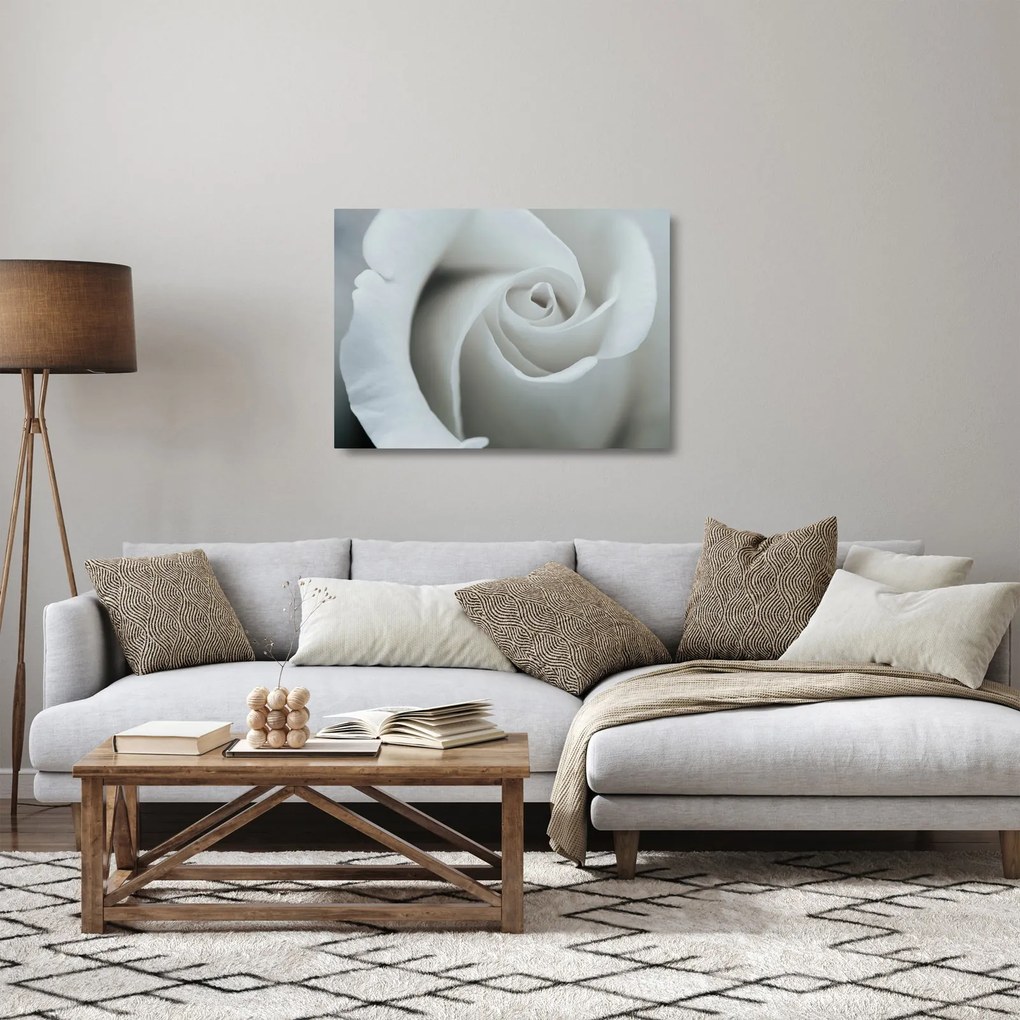 Kép - Fehér rózsa (üvegen) (70x50 cm)