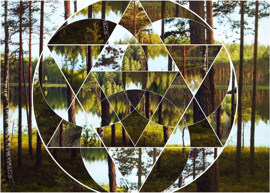 Kép - Geometrikus kollázs a skandináv erdők hátterében (70x50 cm)