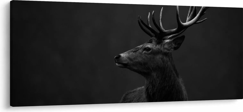 Kép - Egy szarvas portréja (120x50 cm)