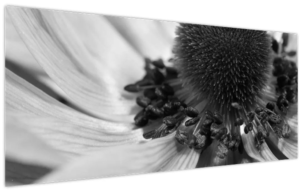 Kép - Virág fekete-fehérben (120x50 cm)