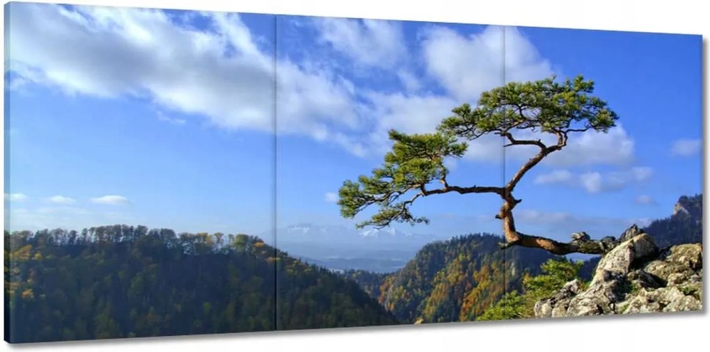 Festmények 150x70 Tájképek Kilátások Tájképek