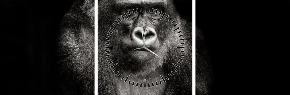 Kép - Gorilla (órával) (90x30 cm)