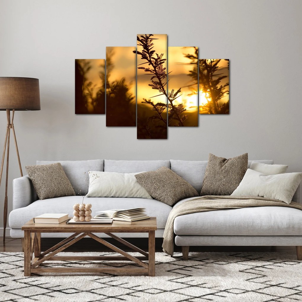 Kép - A nap lenyugszik a fák mögött (150x105 cm)