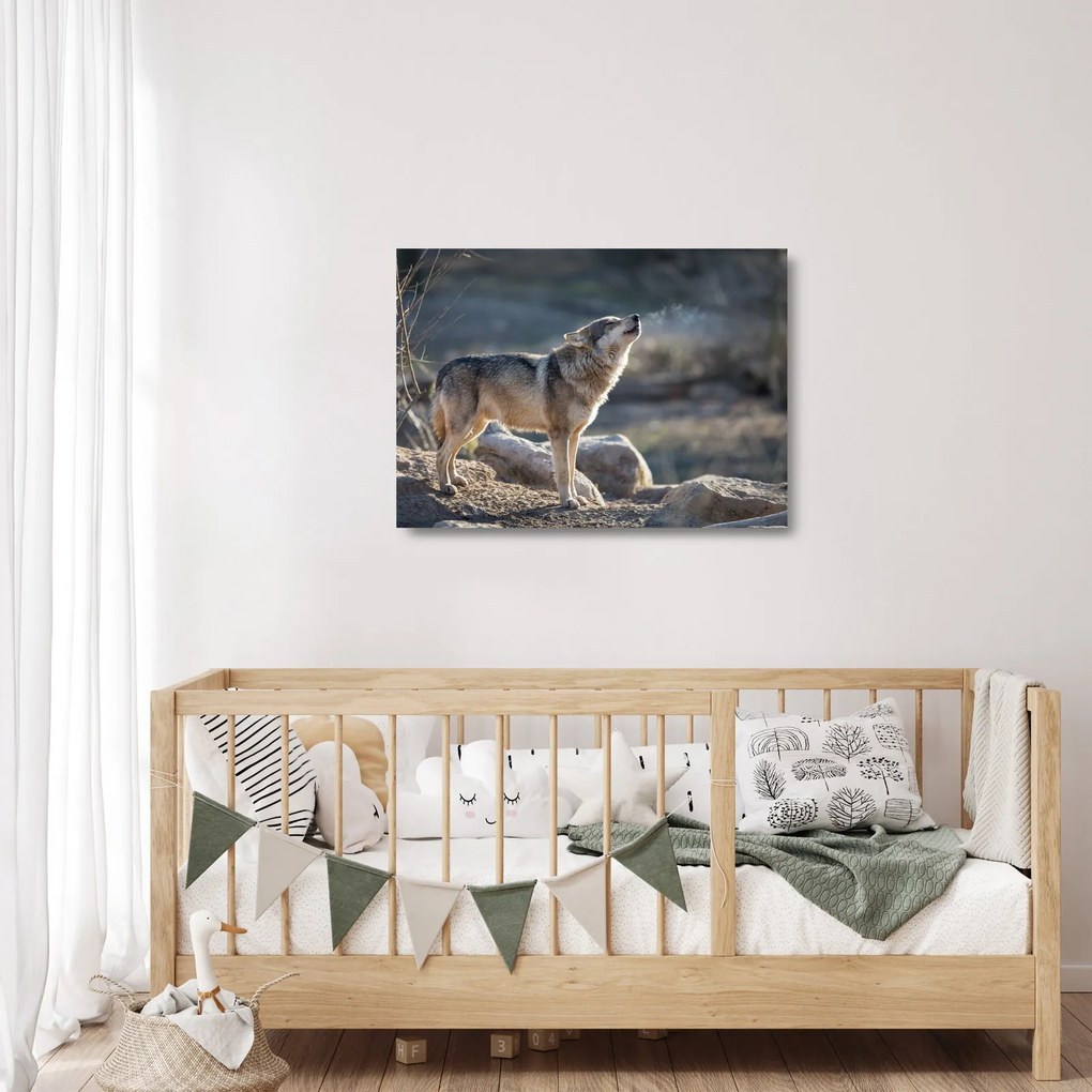 Üveg kép - Üvöltő farkas (70x50 cm)