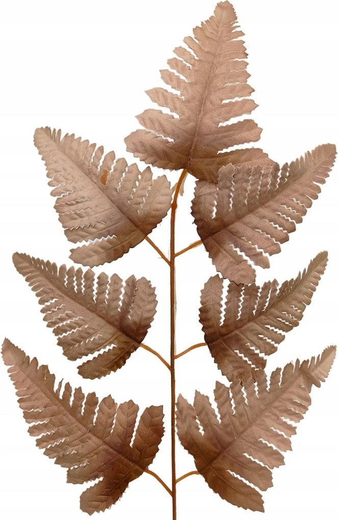 Páfránylevél barna 54 cm 12 db dekorációs