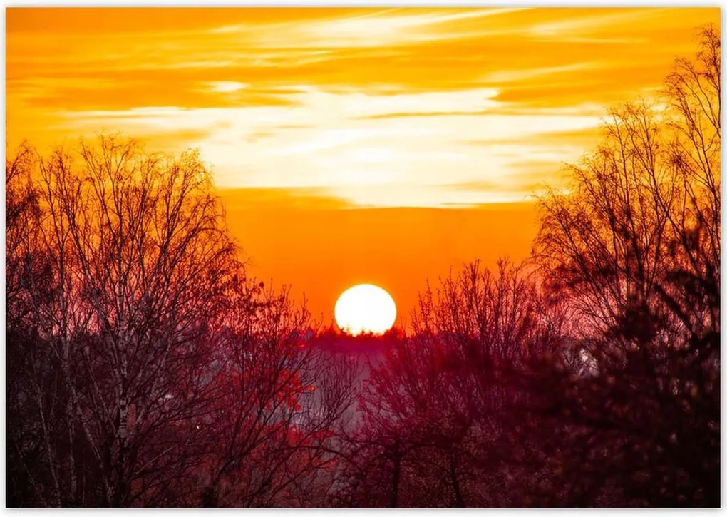 Poszterek 100x70 Kilátás Tájkép