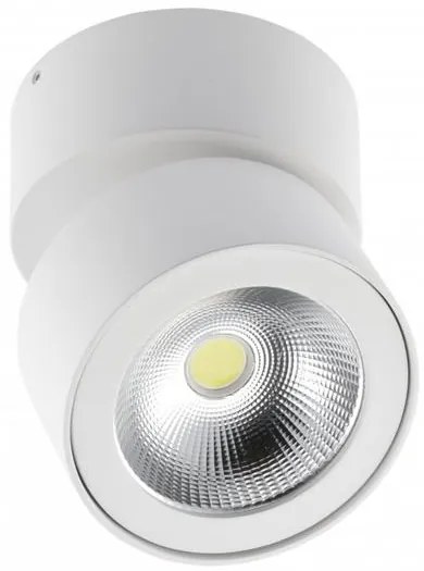 Lámpa Mennyezeti BIANCO 15W 1500lm, AC220-240V, 50/60 Hz, PF>0,5, Ra≥80, IP20, IK06, 36°, 4000K, kör, fehér