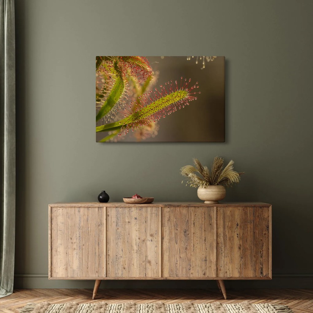 A növény képe (90x60 cm)