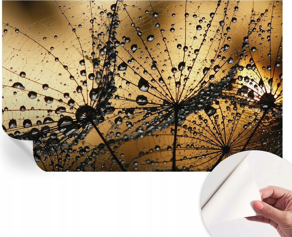 Öntapadós fotótapéta Divatos Finom cseppek 416x254 cm