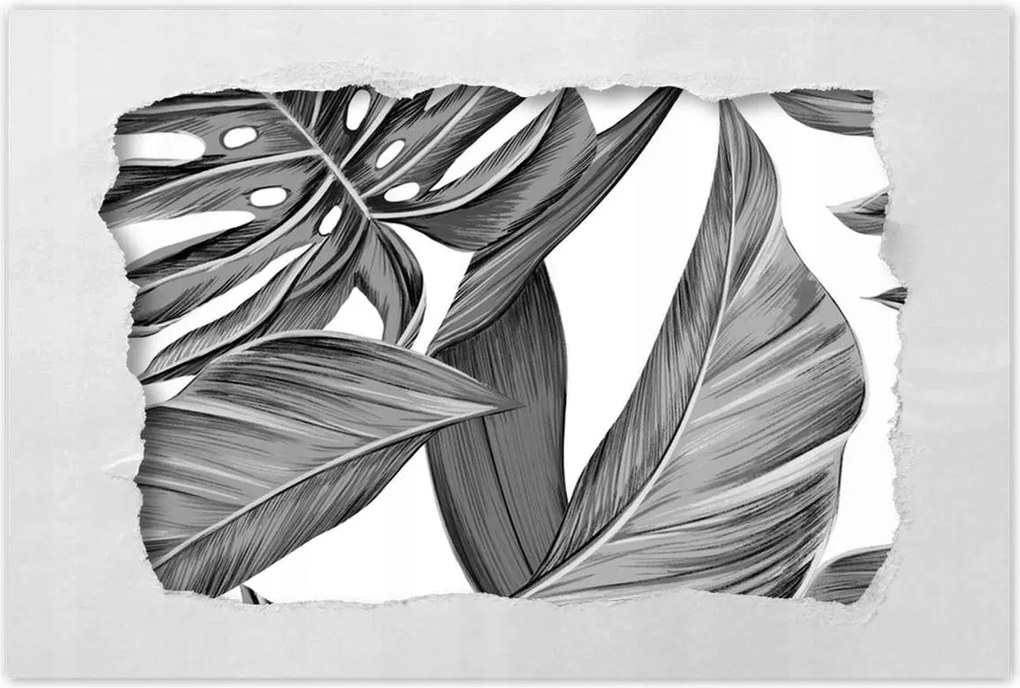 Monster poszter 60x40 szürke