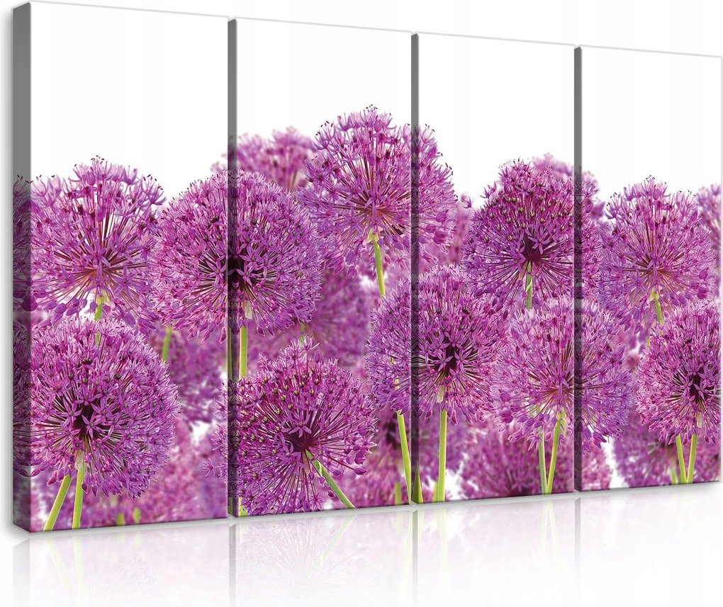 Vászonkép 120x80 Alium hagyma dísz lila gömb alakú virágzat tavasz nyár
