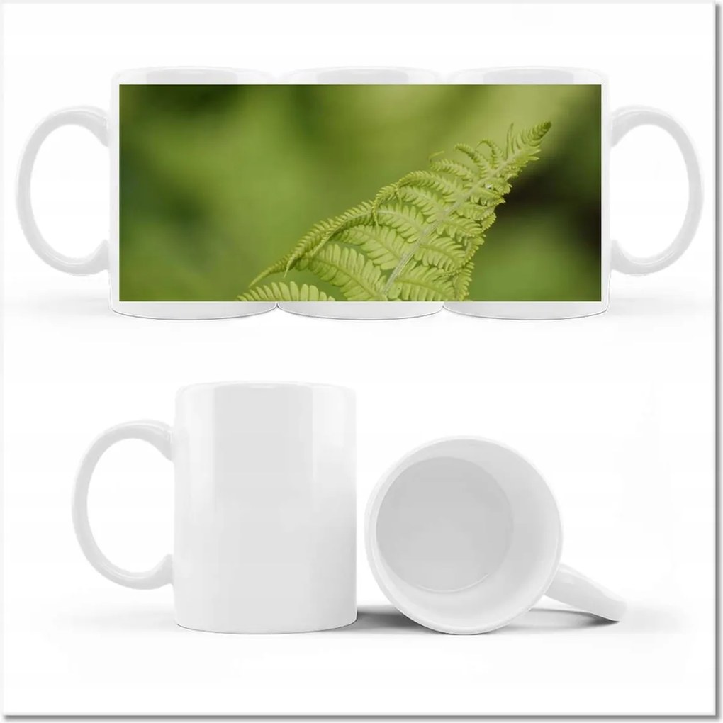 Fotó bögre Páfrányok Erdő Zöld levél