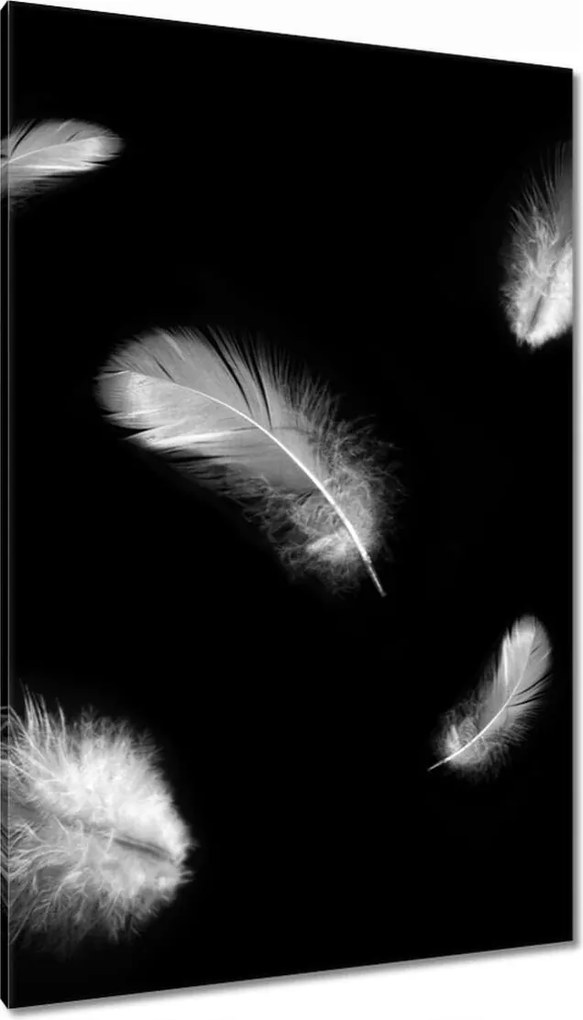 Vászonkép 80x120 Finom toll doboz