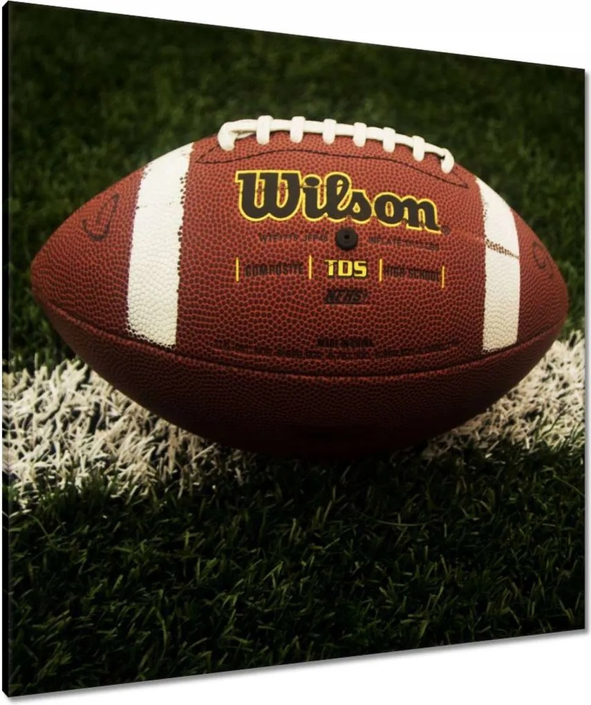 Vászonkép 90x90 Rögbi labda Sport