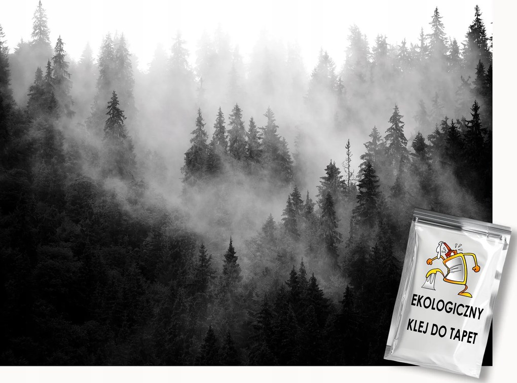 Fotótapéta Flizelina Természet Erdő a ködben Szürke 200x140 ragasztó