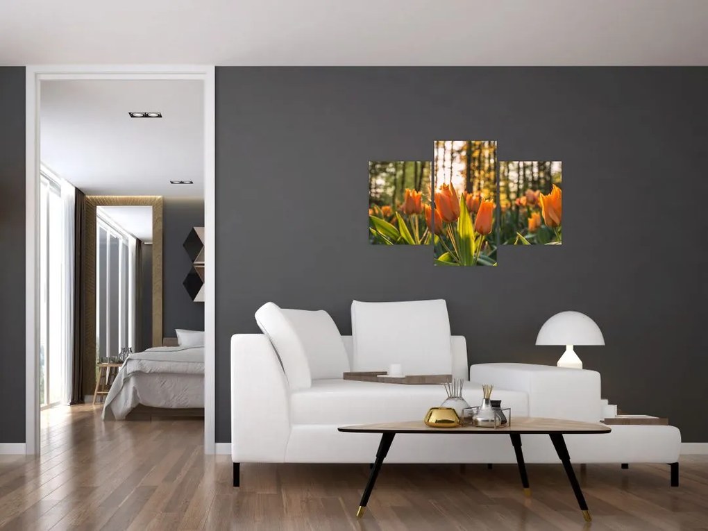 Kép - tulipánok (90x60 cm)