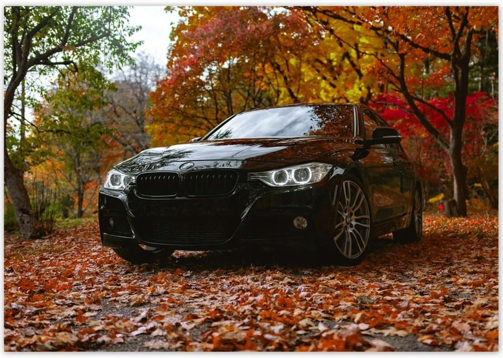 Poszterek 100x70 Fekete Bmw Ősz