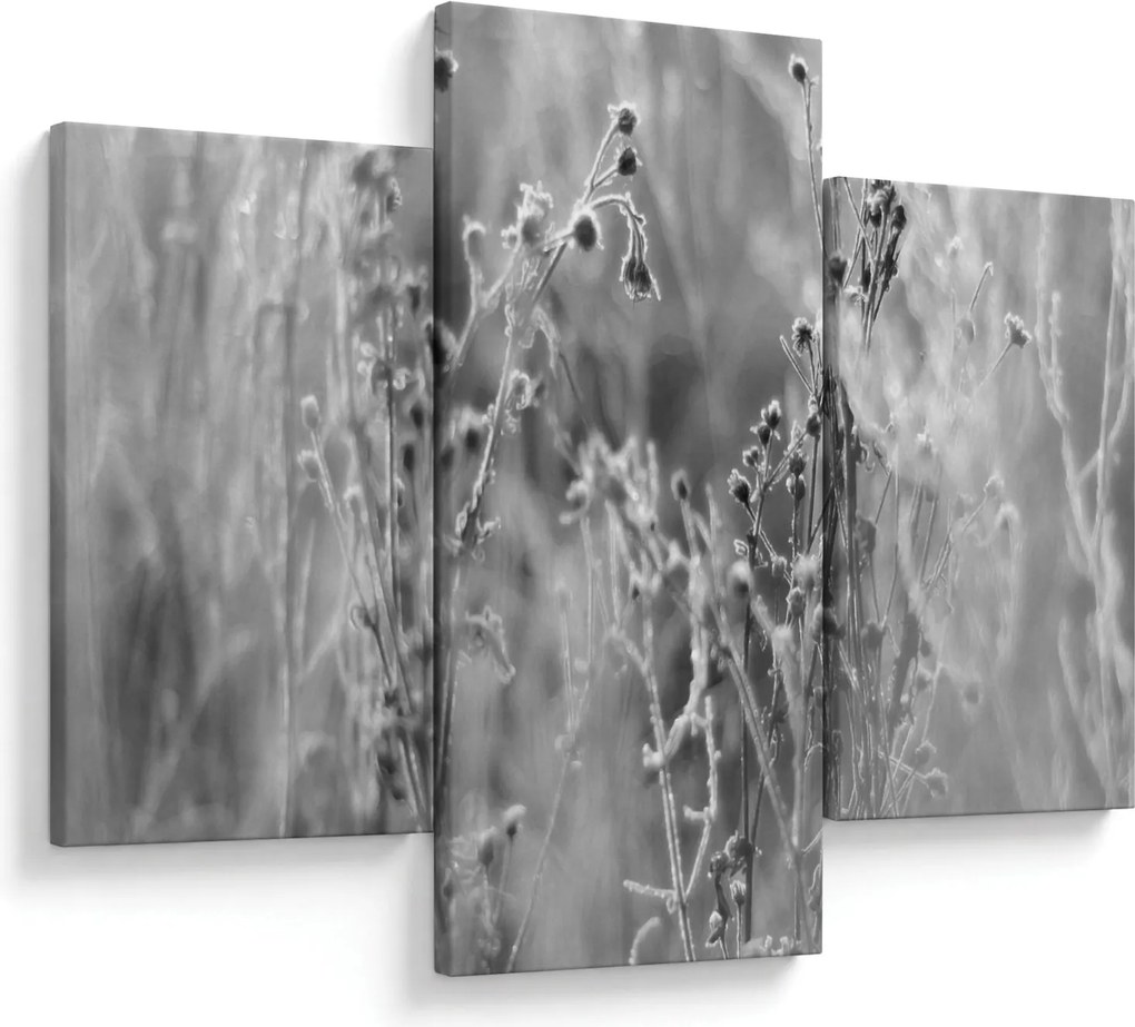 Kép - Wild Meadow (90x60 cm)