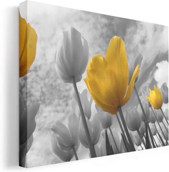 Sárga tulipánok vászonkép