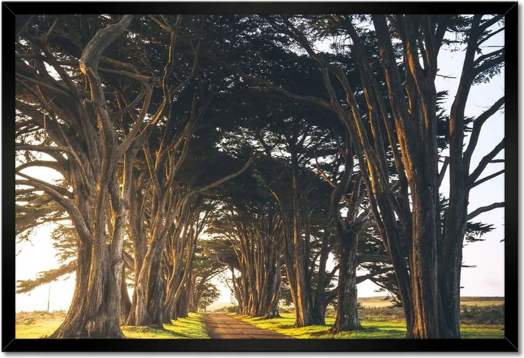 Poszterek keretben 60x40 Tájkép Látvány